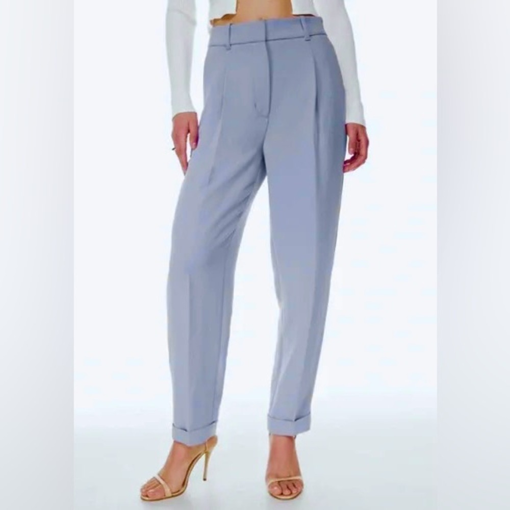 Aritzia Wilfred Dashwood Pant